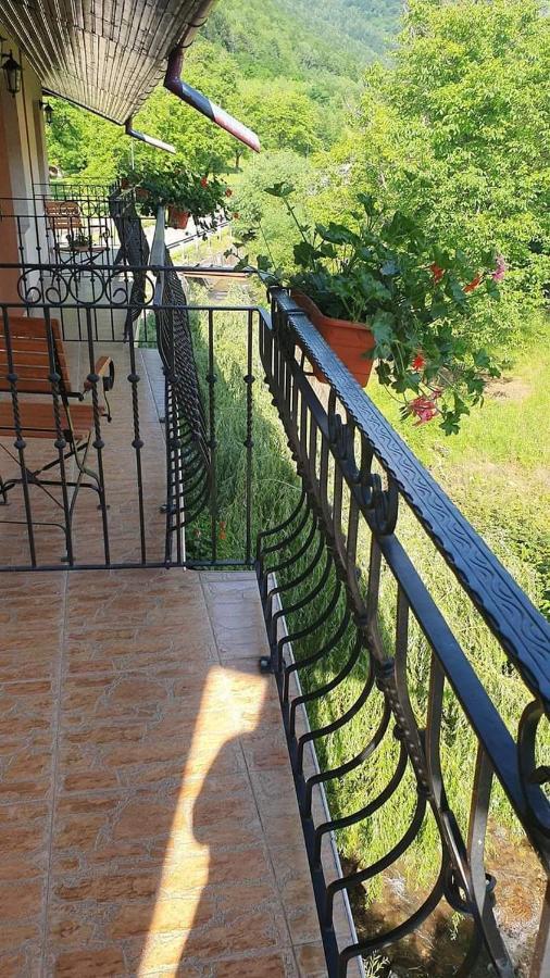 Pensiunea Mirela Pestera Ursilor Chiscau Luaran gambar