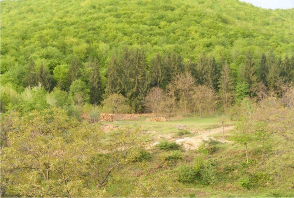 Pensiunea Mirela Pestera Ursilor Chiscau Luaran gambar